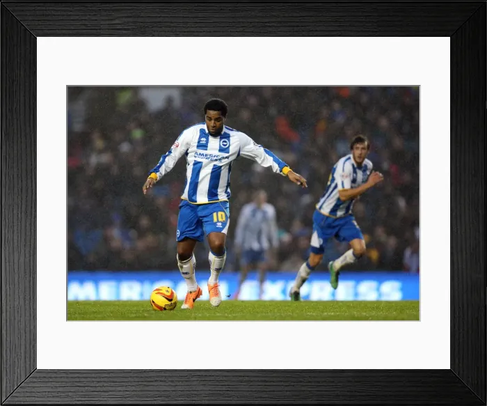 Framed Print : Brighton & Hove Albion vs. Huddersfield Town: Home Game - December 21, 2013 Framed Print : Brighton & Hove Albion vs. Huddersfield Town: Home Game - December 21, 2013
