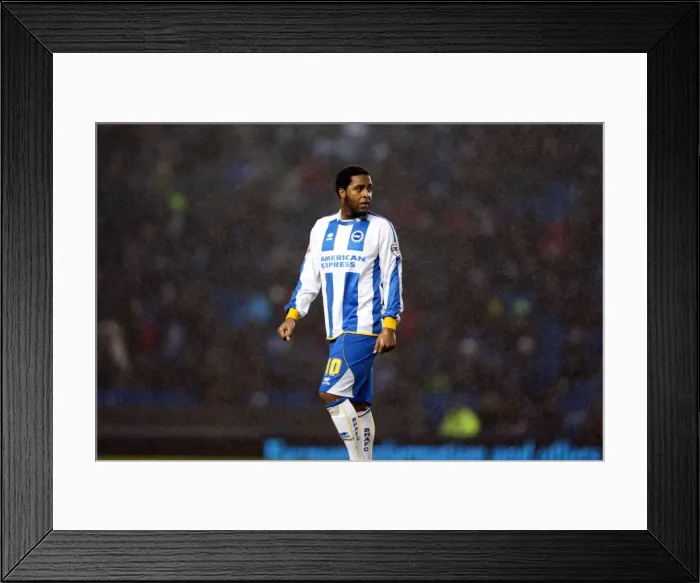 Framed Print : Brighton & Hove Albion vs. Huddersfield Town: Home Game - December 2013 Framed Print : Brighton & Hove Albion vs. Huddersfield Town: Home Game - December 2013