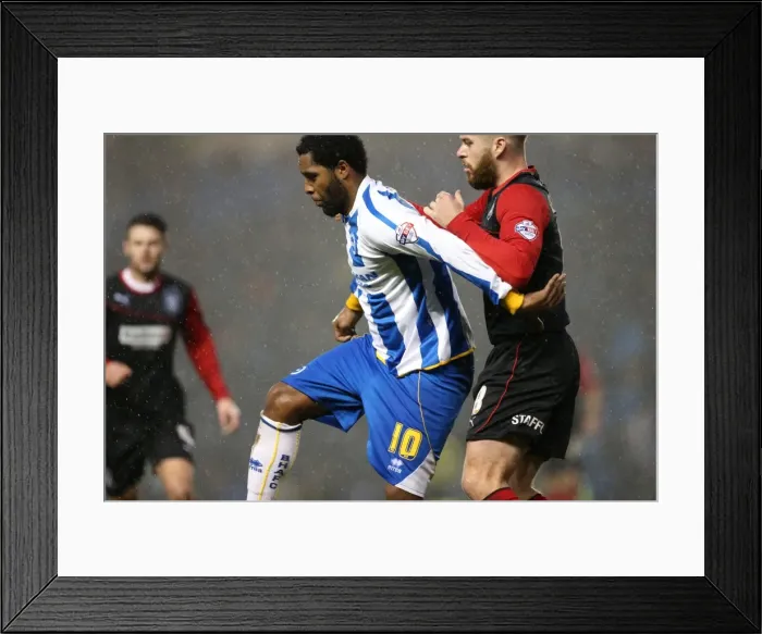 Framed Print : Brighton & Hove Albion vs. Huddersfield Town: Home Game - December 21, 2013 Framed Print : Brighton & Hove Albion vs. Huddersfield Town: Home Game - December 21, 2013
