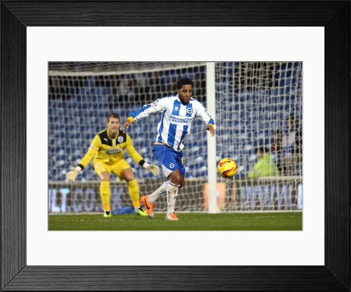 Framed Print : Brighton & Hove Albion vs. Huddersfield Town: Home Game - December 21, 2013 Framed Print : Brighton & Hove Albion vs. Huddersfield Town: Home Game - December 21, 2013