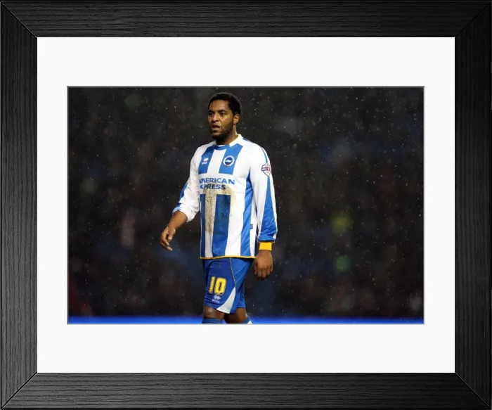 Framed Print : Brighton & Hove Albion vs. Huddersfield Town: Home Game - 21-12-2013 (Season 2013-14) Framed Print : Brighton & Hove Albion vs. Huddersfield Town: Home Game - 21-12-2013 (Season 2013-14)
