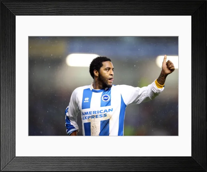 Framed Print : Brighton & Hove Albion vs. Huddersfield Town: Home Game - December 21, 2013 (Season 2013-14) Framed Print : Brighton & Hove Albion vs. Huddersfield Town: Home Game - December 21, 2013 (Season 2013-14)