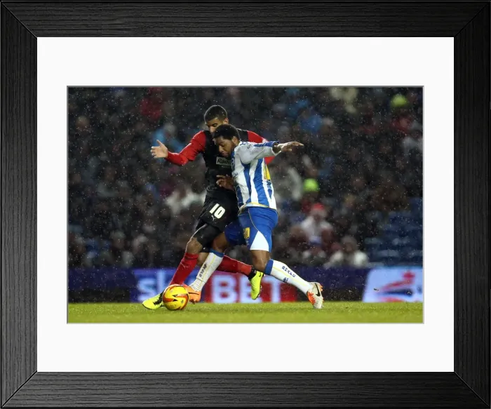 Framed Print : Brighton & Hove Albion vs. Huddersfield Town: Home Game, 2013-14 Season (December 21, 2013) Framed Print : Brighton & Hove Albion vs. Huddersfield Town: Home Game, 2013-14 Season (December 21, 2013)