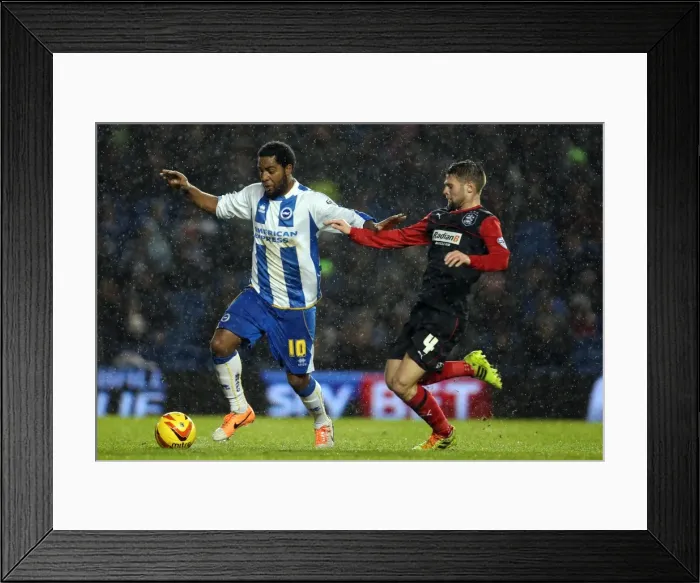 Framed Print : Brighton And Hove Albion Season 2013-14: 2013-14 Home Games: Huddersfield Town - 21-12-2013 Framed Print : Brighton And Hove Albion Season 2013-14: 2013-14 Home Games: Huddersfield Town - 21-12-2013