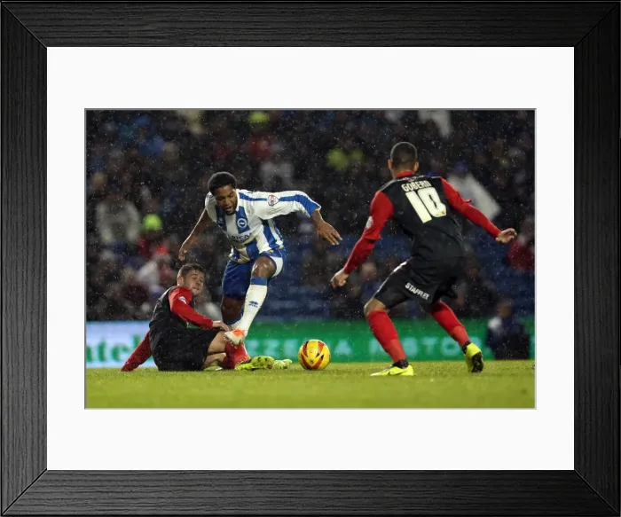 Framed Print : Brighton & Hove Albion vs. Huddersfield Town: Home Game - December 21, 2013 (Season 2013-14) Framed Print : Brighton & Hove Albion vs. Huddersfield Town: Home Game - December 21, 2013 (Season 2013-14)