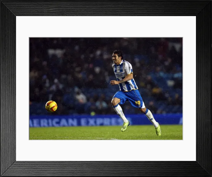 Framed Print : Brighton & Hove Albion vs. Huddersfield Town: Home Game (December 2013) Framed Print : Brighton & Hove Albion vs. Huddersfield Town: Home Game (December 2013)