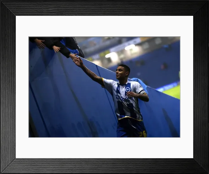 Framed Print : Brighton & Hove Albion vs. Huddersfield Town: Home Game (December 2013) Framed Print : Brighton & Hove Albion vs. Huddersfield Town: Home Game (December 2013)