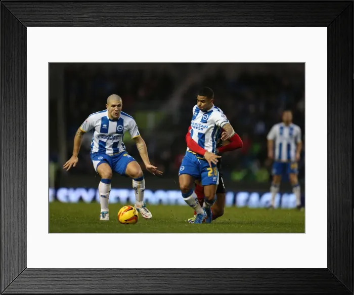 Framed Print : Brighton & Hove Albion vs. Huddersfield Town: Home Game - December 21, 2013 (Season 2013-14) Framed Print : Brighton & Hove Albion vs. Huddersfield Town: Home Game - December 21, 2013 (Season 2013-14)