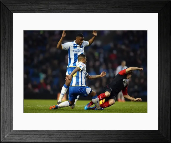 Framed Print : Brighton And Hove Albion Season 2013-14: 2013-14 Home Games: Huddersfield Town - 21-12-2013 Framed Print : Brighton And Hove Albion Season 2013-14: 2013-14 Home Games: Huddersfield Town - 21-12-2013