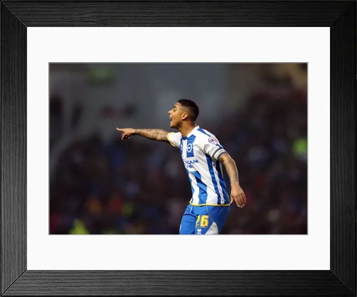 Framed Print : Brighton & Hove Albion vs. Huddersfield Town: Home Game - December 21, 2013