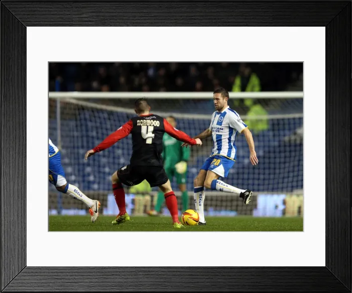 Framed Print : Brighton & Hove Albion vs. Huddersfield Town: Home Game - December 21, 2013 Framed Print : Brighton & Hove Albion vs. Huddersfield Town: Home Game - December 21, 2013