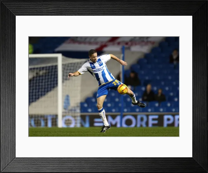 Framed Print : Brighton & Hove Albion vs. Huddersfield Town: Home Game - December 21, 2013