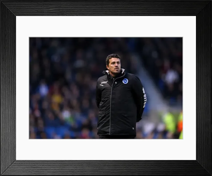 Framed Print : Brighton & Hove Albion vs. Huddersfield Town: Home Game, 2013-14 Season (December 21, 2013) Framed Print : Brighton & Hove Albion vs. Huddersfield Town: Home Game, 2013-14 Season (December 21, 2013)