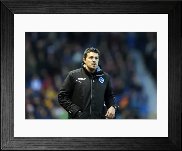 Framed Print : Brighton & Hove Albion vs. Huddersfield Town: Home Game - December 21, 2013
