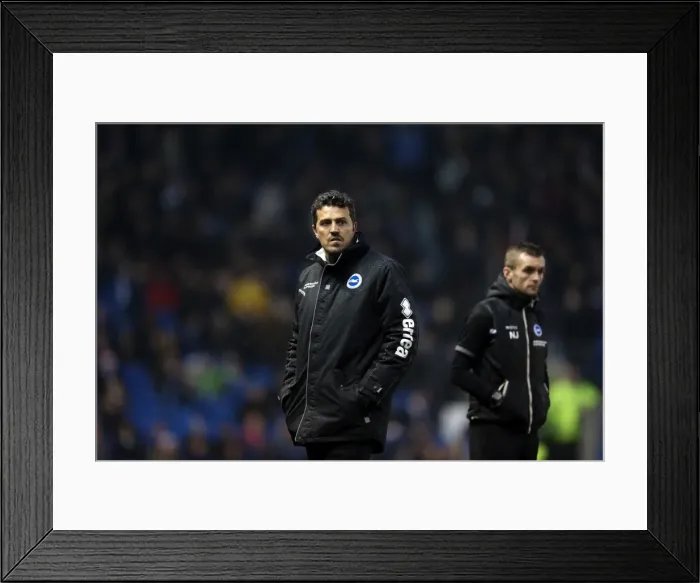 Framed Print : Brighton & Hove Albion vs. Huddersfield Town: Home Game - December 21, 2013