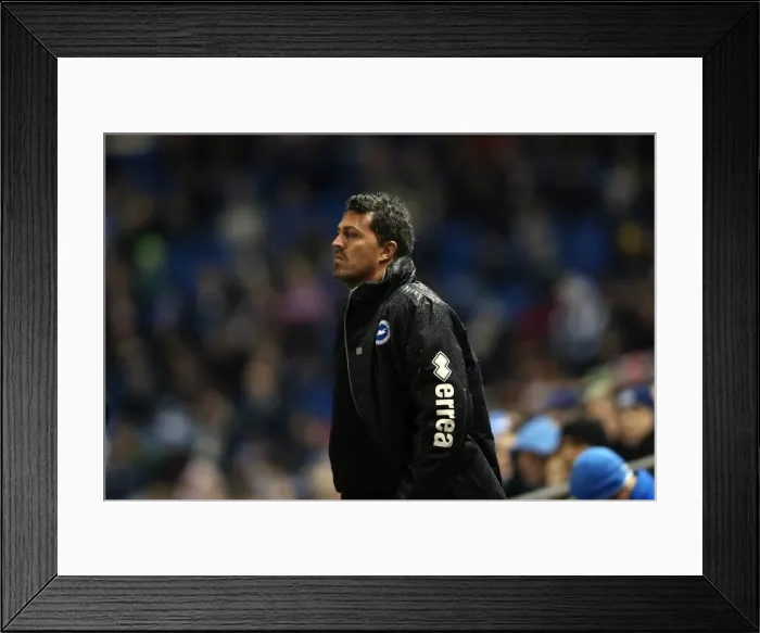 Framed Print : Brighton & Hove Albion vs. Huddersfield Town: Home Game (December 21, 2013)