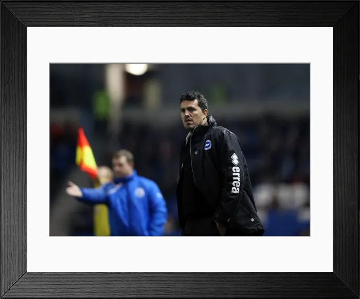 Framed Print : Brighton & Hove Albion vs. Huddersfield Town: Home Game, 12-21-2013 (Premier League, 2013-14 Season)