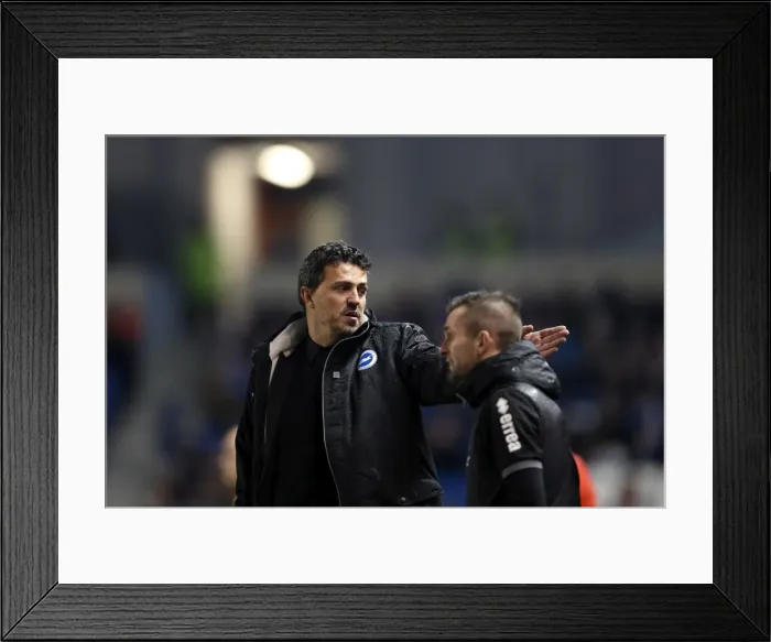 Framed Print : Brighton & Hove Albion vs. Huddersfield Town: Home Game - December 21, 2013 (Season 2013-14)