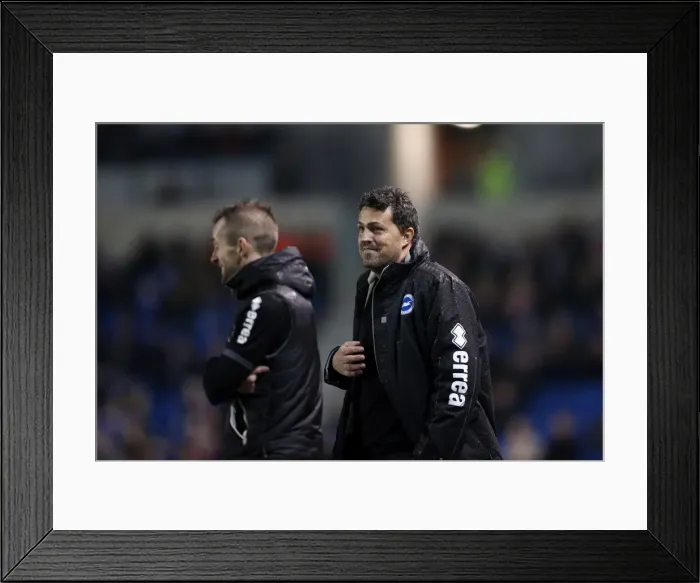Framed Print : Brighton & Hove Albion vs. Huddersfield Town: Home Game - December 21, 2013