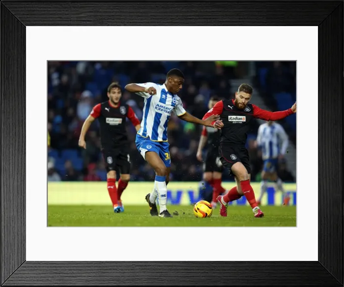 Framed Print : Brighton & Hove Albion vs Huddersfield Town: Home Game - 21-12-2013