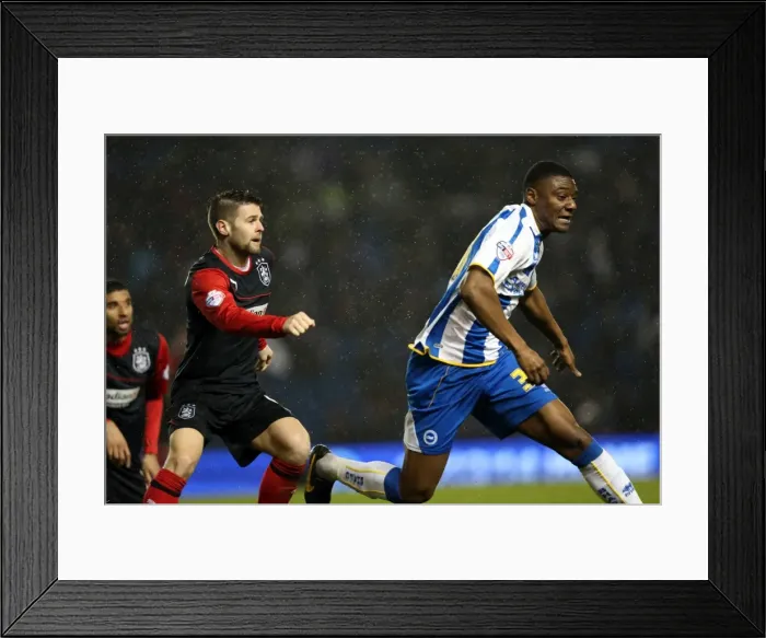 Framed Print : Brighton & Hove Albion vs. Huddersfield Town: Home Game - December 21, 2013 Framed Print : Brighton & Hove Albion vs. Huddersfield Town: Home Game - December 21, 2013
