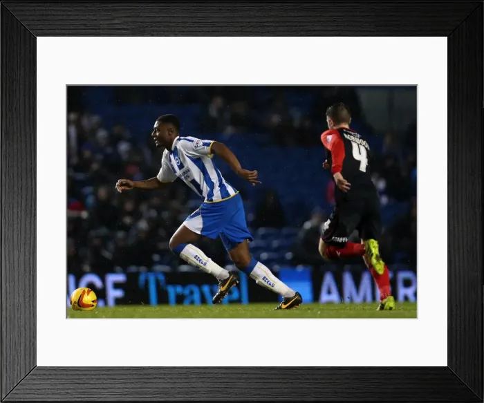 Framed Print : Brighton & Hove Albion vs. Huddersfield Town: Home Game - December 21, 2013 (Season 2013-14) Framed Print : Brighton & Hove Albion vs. Huddersfield Town: Home Game - December 21, 2013 (Season 2013-14)