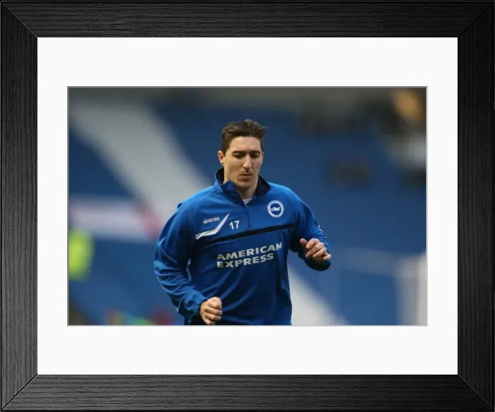 Framed Print : Brighton & Hove Albion vs. Huddersfield Town: Home Game, 2013-14 Season (December 21, 2013)