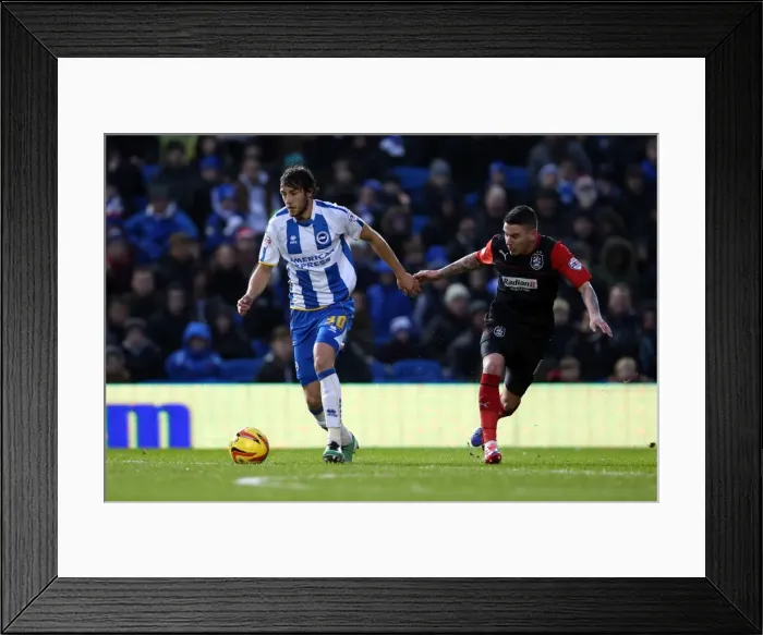 Framed Print : Brighton & Hove Albion vs. Huddersfield Town: Home Game, 21-12-2013 (Season 2013-14)