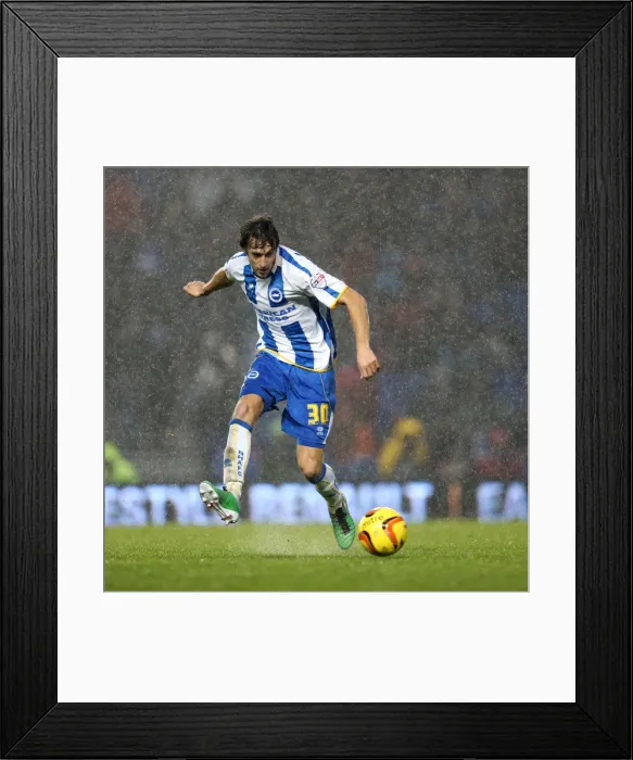 Framed Print : Brighton & Hove Albion vs. Huddersfield Town: Home Game - December 21, 2013