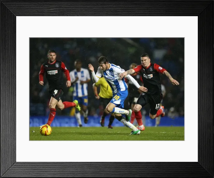Framed Print : Brighton & Hove Albion vs. Huddersfield Town: Home Game, 21-12-2013 (2013-14 Season)