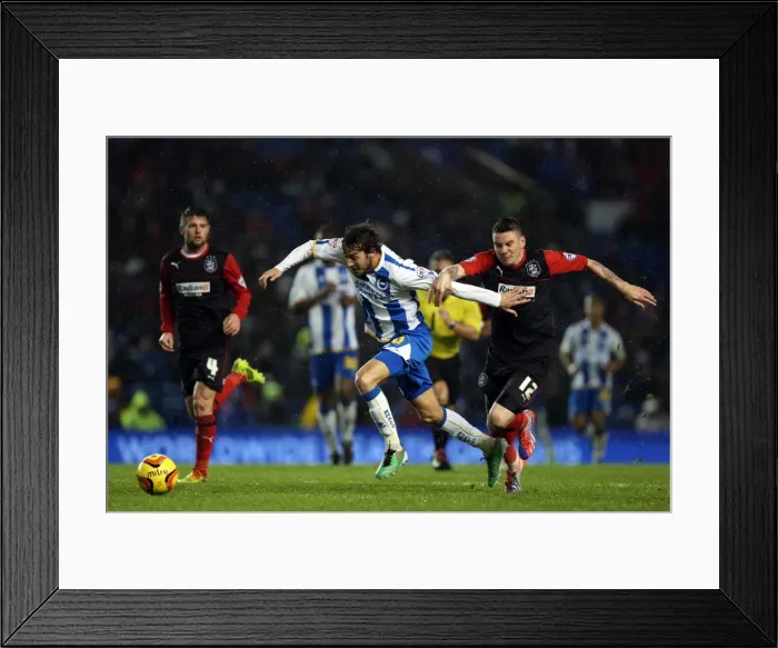 Framed Print : Brighton & Hove Albion vs. Huddersfield Town: Home Game, 21-12-2013 (Season 2013-14)