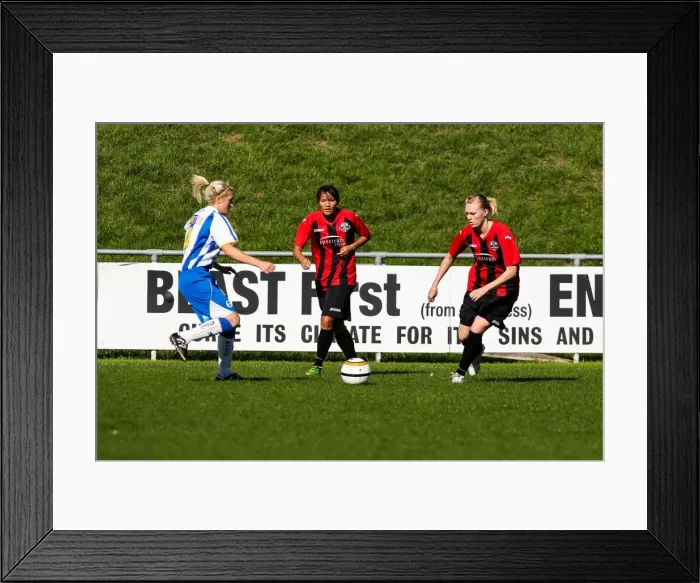 Framed Print : Brighton & Hove Albion Women's Football: 2013-14 Season - Lewes Match Framed Print : Brighton & Hove Albion Women's Football: 2013-14 Season - Lewes Match