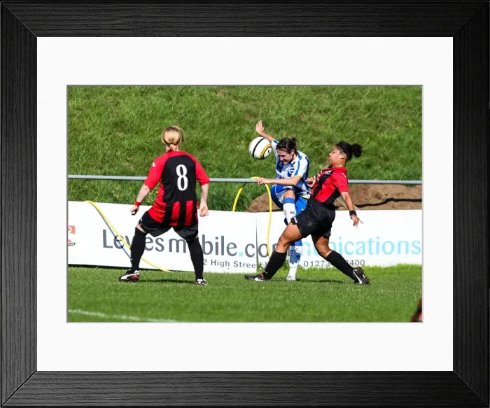 Framed Print : Brighton & Hove Albion Women's Football: 2013-14 Season - Lewes Matches