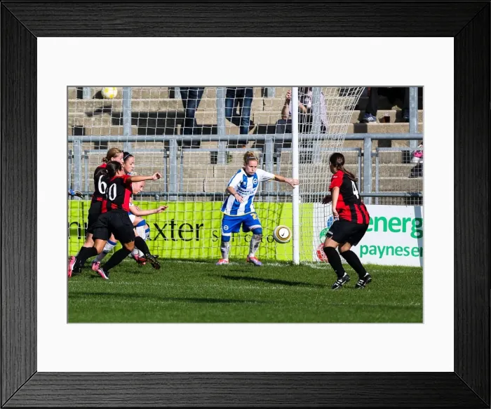 Framed Print : Brighton & Hove Albion Women's Football: 2013-14 Season - Lewes Matches