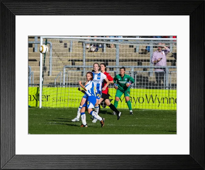 Framed Print : Brighton & Hove Albion Women's Football: 2013-14 Season - Lewes Match Framed Print : Brighton & Hove Albion Women's Football: 2013-14 Season - Lewes Match