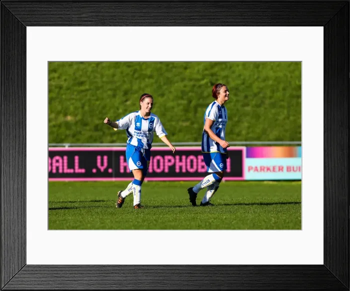 Framed Print : Brighton & Hove Albion Women's Football: 2013-14 Season - Lewes Match