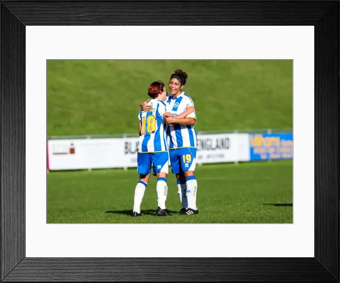 Framed Print : Brighton & Hove Albion Women's Football: 2013-14 Season - Lewes Matches Framed Print : Brighton & Hove Albion Women's Football: 2013-14 Season - Lewes Matches