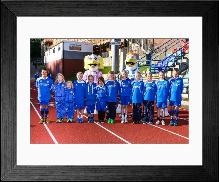 Framed Print : Brighton & Hove Albion vs. Gillingham: Women's Clash, 2013-14 Season Framed Print : Brighton & Hove Albion vs. Gillingham: Women's Clash, 2013-14 Season