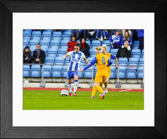 Framed Print : Brighton & Hove Albion vs. Gillingham: 2013-14 Women's Football Match Framed Print : Brighton & Hove Albion vs. Gillingham: 2013-14 Women's Football Match
