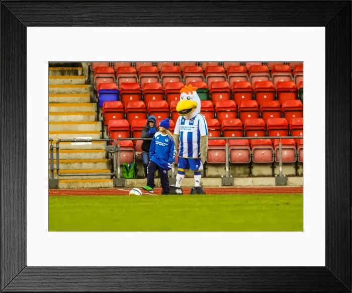 Framed Print : Brighton & Hove Albion vs. Gillingham: 2013-14 Women's Football Match Framed Print : Brighton & Hove Albion vs. Gillingham: 2013-14 Women's Football Match