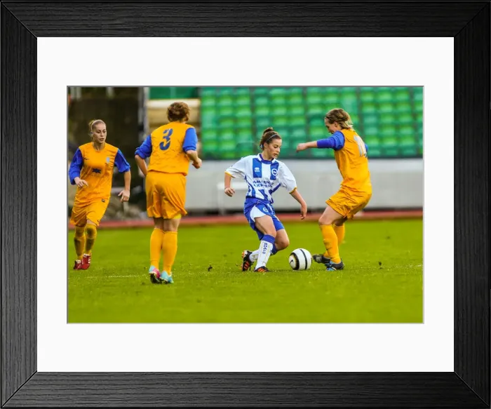 Framed Print : Action-Packed: Brighton & Hove Albion Women vs. Gillingham (2013-14 Season) Framed Print : Action-Packed: Brighton & Hove Albion Women vs. Gillingham (2013-14 Season)