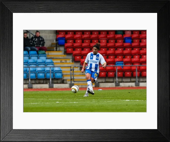 Framed Print : Brighton & Hove Albion Women's Football: Victory Over Chesham (2013-14 Season) Framed Print : Brighton & Hove Albion Women's Football: Victory Over Chesham (2013-14 Season)