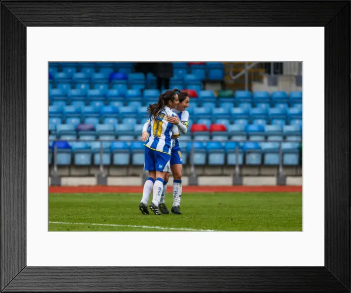Framed Print : Brighton & Hove Albion Women's Football: Chesham Match, 2013-14 Season - Brighton And Hove Albion's Women's Team in Action against Chesham during the 2013-14 Season
