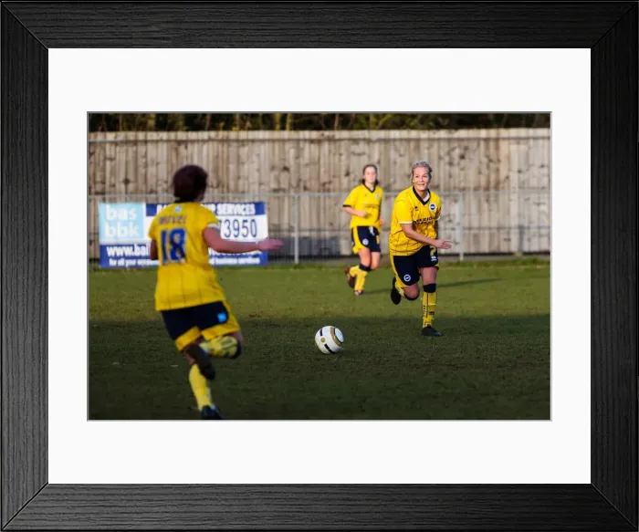 Framed Print : Brighton & Hove Albion vs. Tottenham: A Battle in the 2013-14 Women's Football Season Framed Print : Brighton & Hove Albion vs. Tottenham: A Battle in the 2013-14 Women's Football Season