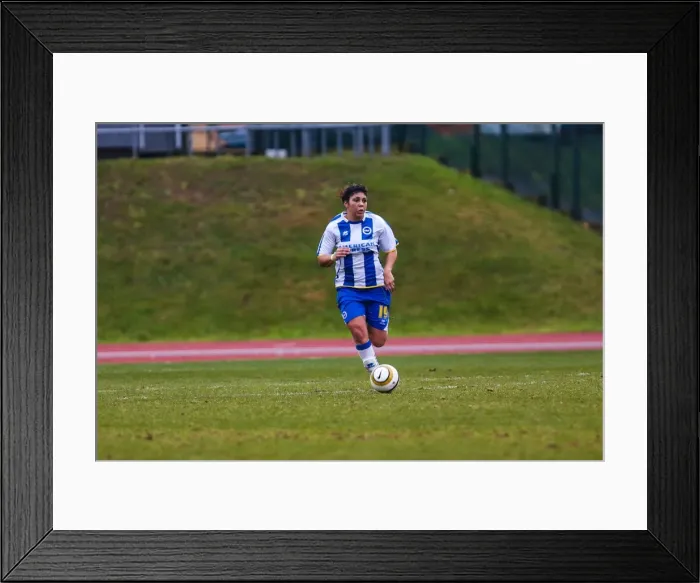 Framed Print : Brighton & Hove Albion Women vs. Portsmouth: 2013-14 Season Match Framed Print : Brighton & Hove Albion Women vs. Portsmouth: 2013-14 Season Match