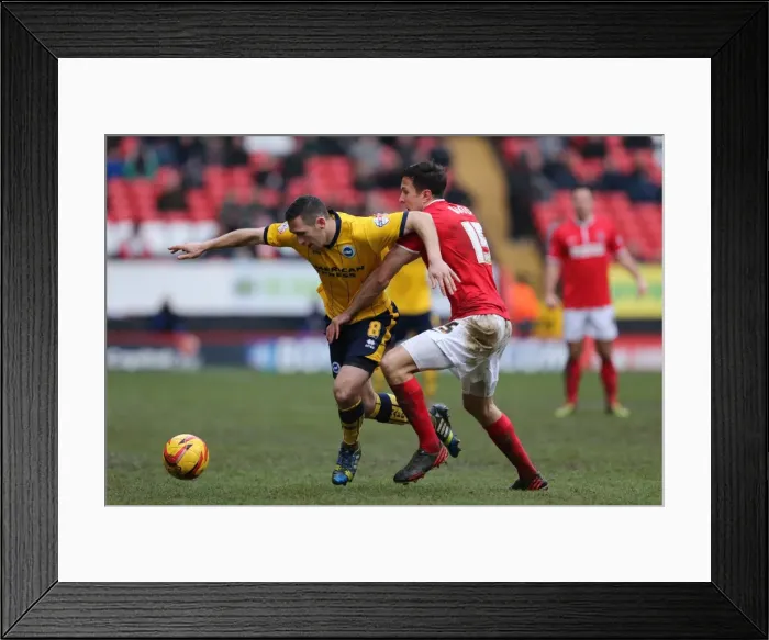 Framed Print : Brighton & Hove Albion vs Charlton Athletic (Away) - 26-12-2013, Season 2013-14 Framed Print : Brighton & Hove Albion vs Charlton Athletic (Away) - 26-12-2013, Season 2013-14