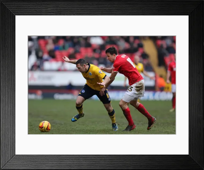 Framed Print : Brighton & Hove Albion vs Charlton Athletic (Away) - 26-12-2013 - Season 2013-14 Framed Print : Brighton & Hove Albion vs Charlton Athletic (Away) - 26-12-2013 - Season 2013-14