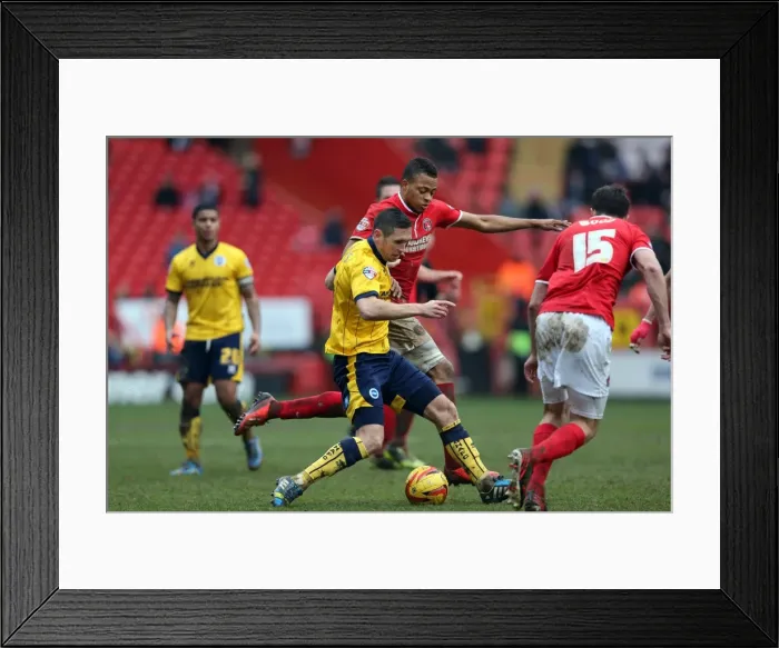 Framed Print : Brighton & Hove Albion vs Charlton Athletic: Away Game - December 26, 2013 (Season 2013-14) Framed Print : Brighton & Hove Albion vs Charlton Athletic: Away Game - December 26, 2013 (Season 2013-14)