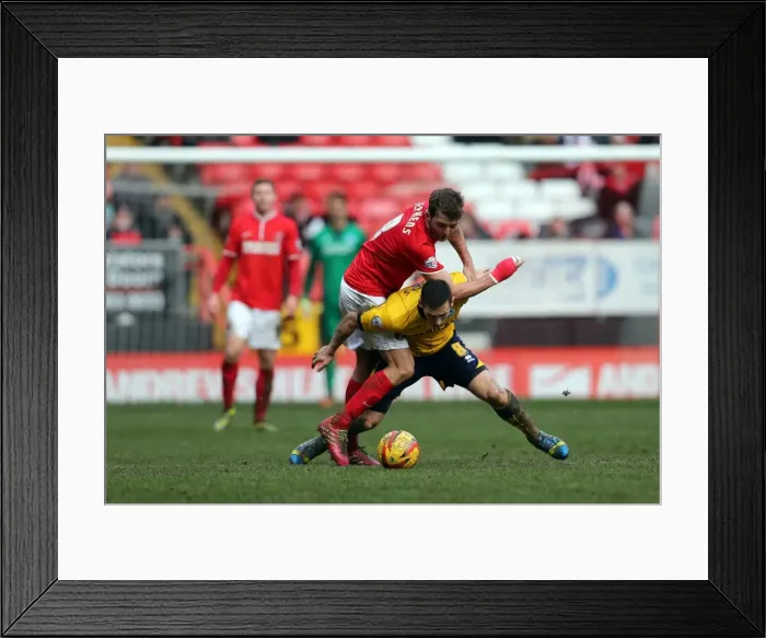 Framed Print : Brighton & Hove Albion vs Charlton Athletic (Away): 26-12-2013 - Season 2013-14: Away Game Framed Print : Brighton & Hove Albion vs Charlton Athletic (Away): 26-12-2013 - Season 2013-14: Away Game