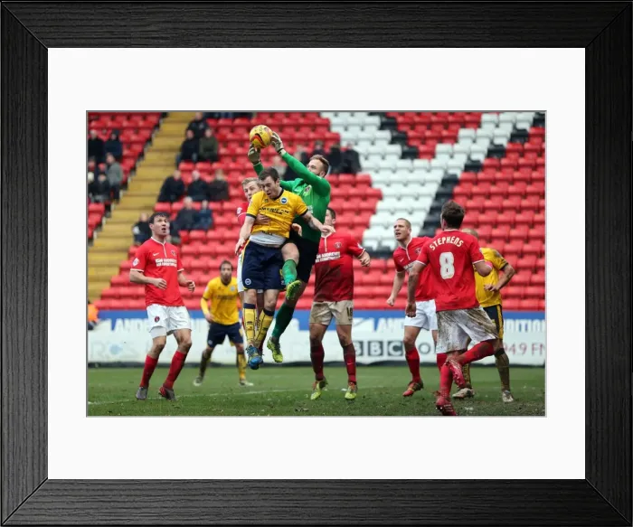 Framed Print : Brighton & Hove Albion vs Charlton Athletic (Away): 26-12-2013 - Season 2013-14